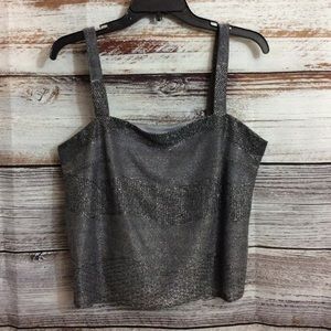 NWOT Dress Savy New York Metallic Crop Top